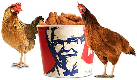 chickenbucket