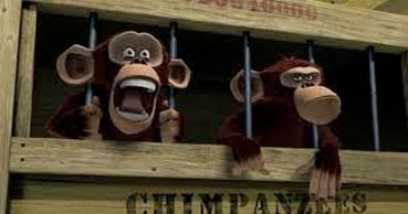 madagascarchimps madagascarchimps