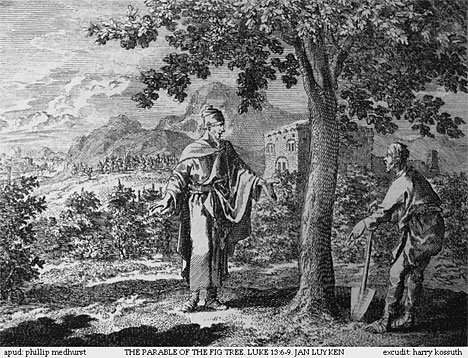 parableoffigtree parableoffigtree