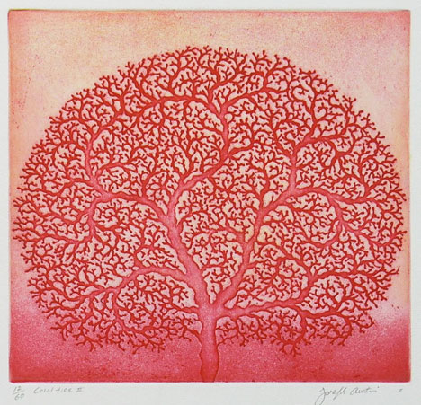 CoralTree2-JosephAustin