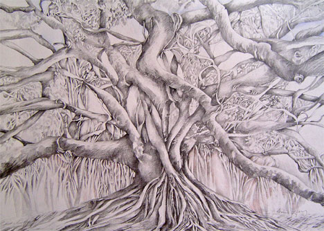 FigTree-pencilandcharcoal