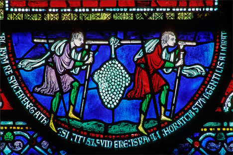 GrapesofEshcol-stained glass-CanterburyCathedral